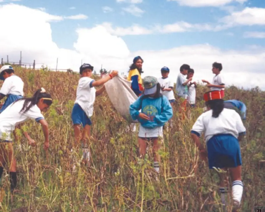 Niñas y niños del INEPE realizando actividades al aire libre durante los primeros años de la Unidad Educativa, cuando en 1989 iniciaron su camino pedagógico con 19 estudiantes.